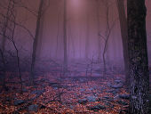 �ꥹ�ȥ��åȤαƶ�