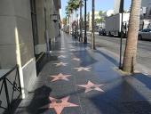 �ȥࡦ���롼���ȥ�������ȥ�����