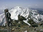 ¥Ç¥£¥¹¥ì¥¯¥·¥¢